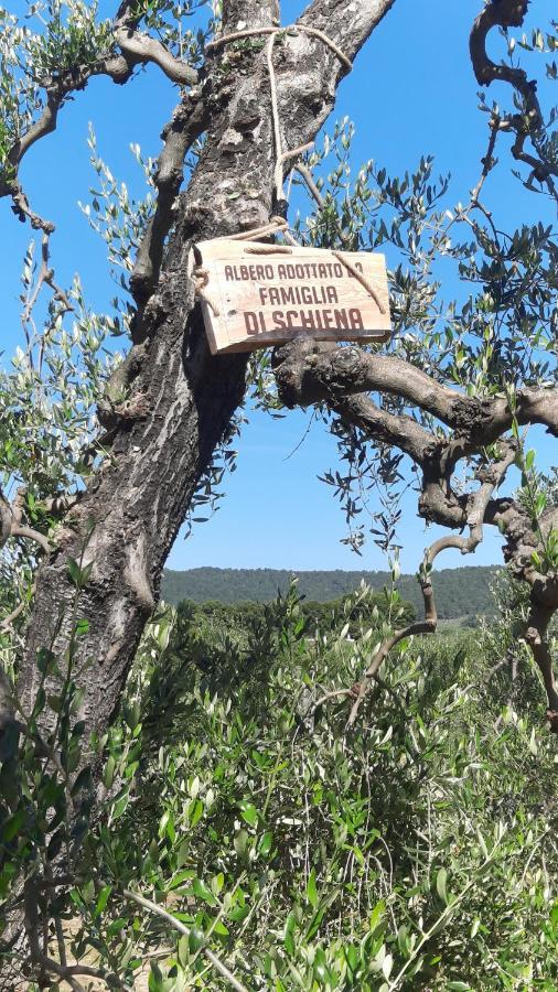 Alba Del Gargano Home В'єсте Екстер'єр фото