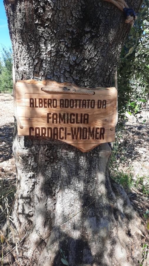 Alba Del Gargano Home В'єсте Екстер'єр фото