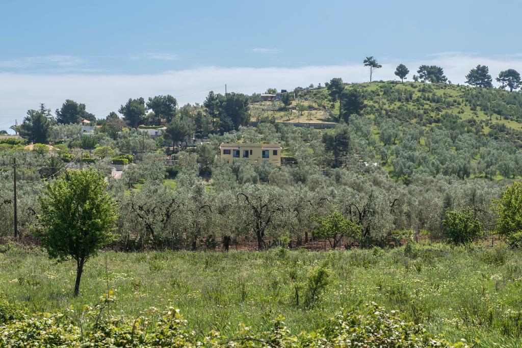 Alba Del Gargano Home В'єсте Екстер'єр фото